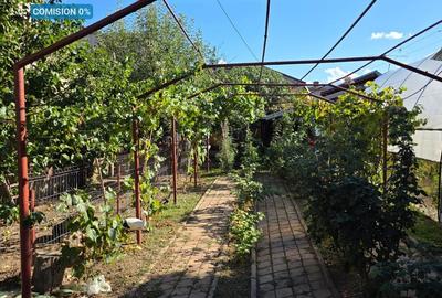 Casă + spațiu comercial la stradal, teren – 459 mp - 4