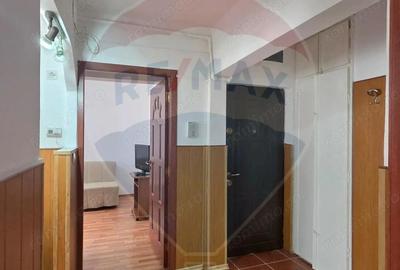 Apartament cu 2 camere decomandat în Vitrometan - 9