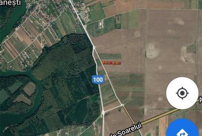 Teren de 10000 mp, în Vadu Anei - 3