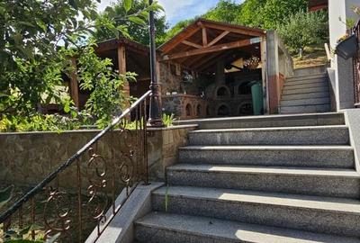 Casă cu 7 camere cu Teren 2870 Mp în Viișoara - 19