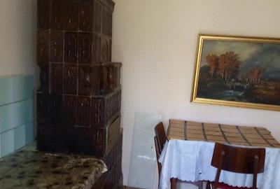 Casă cu 2 camere cu Teren 1500 Mp în Central - 3