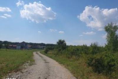 Teren de 4000 mp, în Șagului