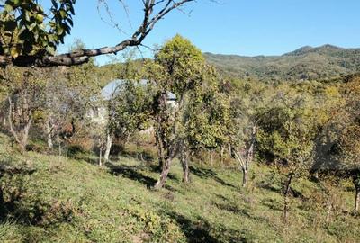 Teren cu priveli?te superba , livada ?i poten?ial casu? - 16