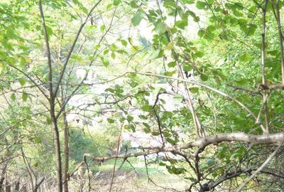 Teren de 2390 mp, în Schei - 4