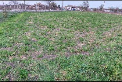 Teren de 1260 mp, în Ceamurlia de Jos - 3