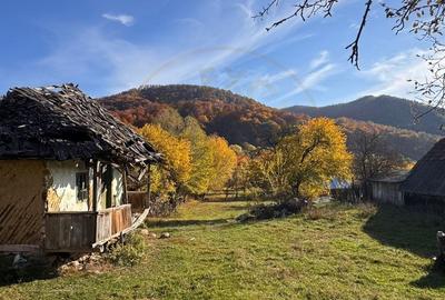 Teren Salatrucu - 7500 mp - 5