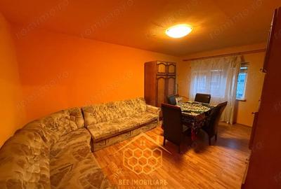 Apartament cu 2 camere in cartierul George Enescu - 2