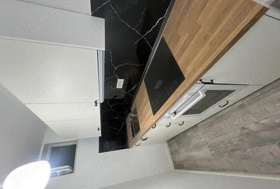 De inchiriat casa Str. Bucegi. Timi?oara - 6