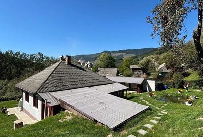 De vanzare pensiune in Com Tasca, Teren 3800 mp, toate utilitatile, 204.990 euro - 12