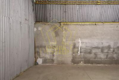 Spatiu Comercial tip Hala I Zona Lipovei - 9