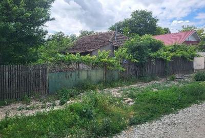 Casă cu 2 camere cu Teren 2635 Mp în Dragalina - 1