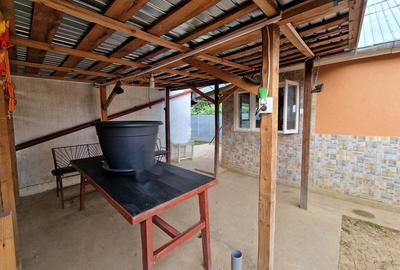 Darasti-Vlasca, Adunatii Copaceni Darasti-Vlasca, Adunatii Copaceni - 5