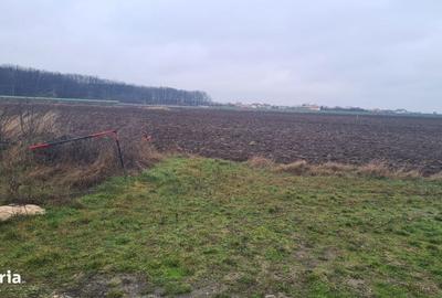 Spațiu comercial, în Corbeanca - 9