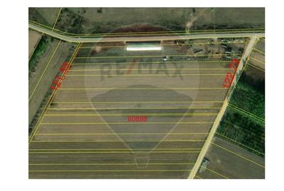 Teren agricol extravilan de 3000 mp, în Sântion - 5