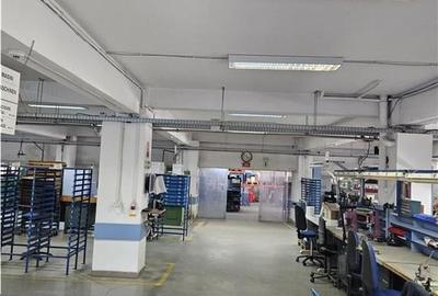 Exclusivitate - Proprietate Industriala De Vanzare - Productie - Depozitare - 2