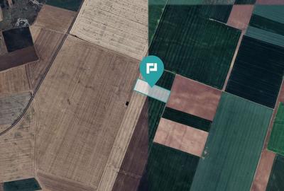 Teren arabil de 4,4Ha în Șimand - 2