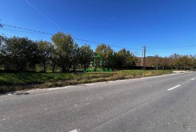 Teren intravilan/Str Balciului/Copacelu - 2