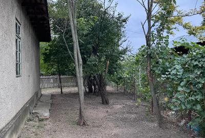 Casa Ciochina, Ialomi?a, 4 camere, 1644mp teren - 8