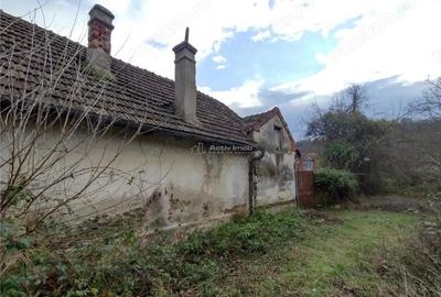 Casă cu Teren 40 Mp în Bogodinț - 10