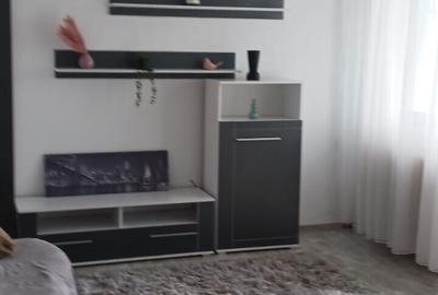 Apartament cu 2 camere decomandat, mobilat în Dristor - 2