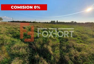 Comision 0% Teren intravilan de 3346 mp cu 2 fronturi - Jebel - 7