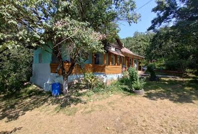 Casă cu Teren 1428 Mp în Silivașu de Câmpie - 7