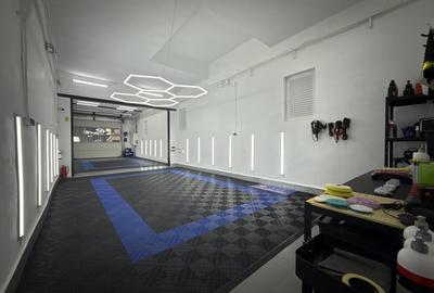 Hala Damaroaia - Curte Hala Damaroaia - Curte - 5