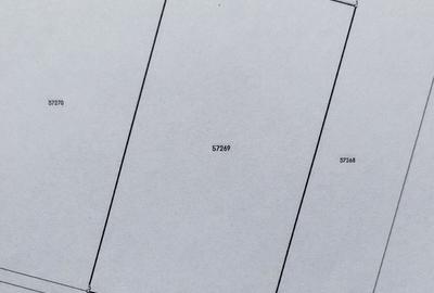 Spațiu comercial, în Gepiu - 4