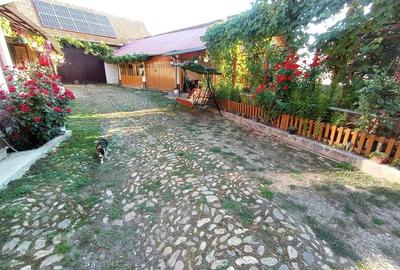 Casă cu Teren 1060 Mp în Beriu - 3
