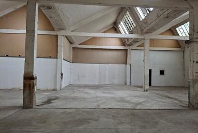 Spațiu industrial, în Morarilor - 10