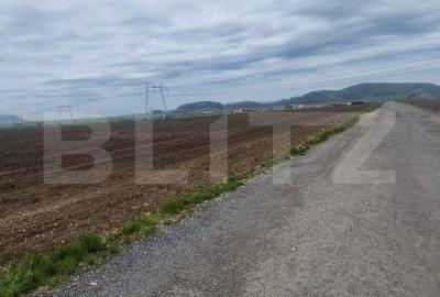 Teren de 15000 mp, în Hărman - 4