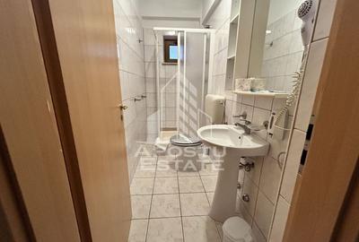 Spațiu comercial, de 1,245 mp, în Aradului - 11