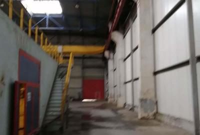 Birouri, spatiu industrial, hale Zona Libera Giurgiu ID 17096 - 3