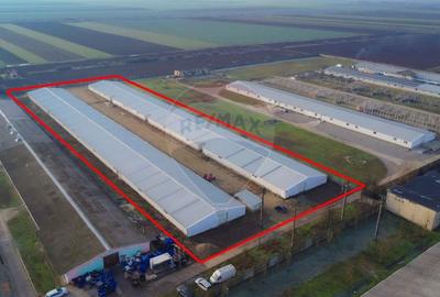 De vânzare – 2 hale industriale, 5.050 mp utili, Palota - 1