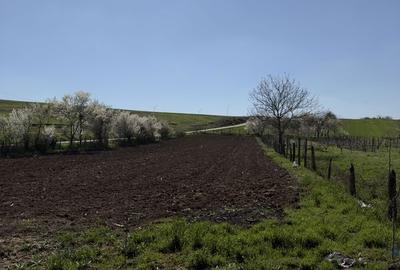 Teren de 1440 mp, în Pleșoiu - 2