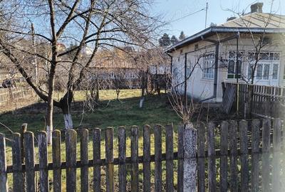Casa de vanzare Dorohoi 90 mp utili+946 mp teren - 3