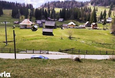 Casă cu 7 camere cu Teren 7553 Mp în Gârda de Sus - 11