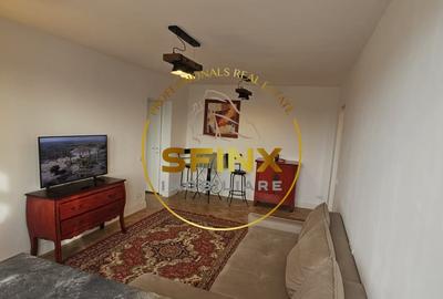 Apartament 2 camere Cismigiu - 9