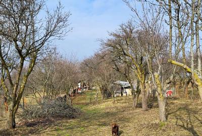 Teren de 4300 mp, în Central - 11