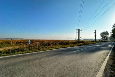 Vanzare teren 10.000mp Calea Surii Mici, direct de la proprietar! - 5