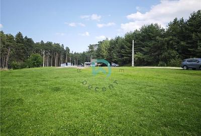 Teren Construcții intravilan de 1500 mp, în Poiana Angelescu - 10