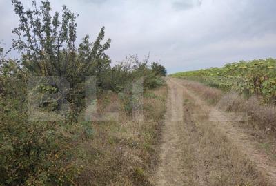 Teren 6291 mp, extravilan, zona Leamna de jos - 1