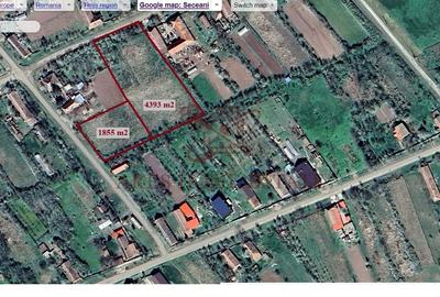 Teren intravilan 4.393 mp Seceani, lângă autostradă A1 – Ortisoara - 3