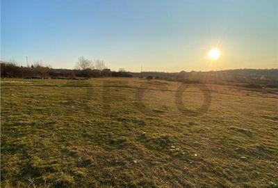 RECO Teren intravilan in Saldabagiu De Munte 2000mp - 1