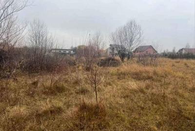 Teren de 560 mp, în Bănești - 5