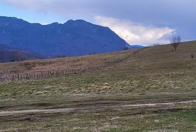Spațiu comercial, în Central - 4