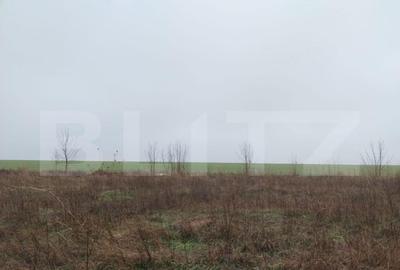 Teren intravilan, Pielesti, 5025mp, deschidere 22,3mp, zona - 1