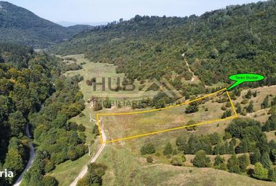 Spațiu comercial, în Părău - 7