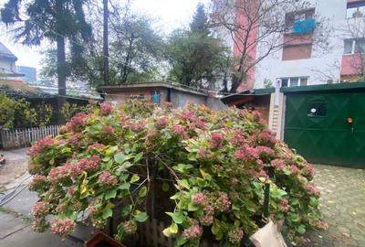 Teren Construcții intravilan de 363 mp, în Domenii - 4