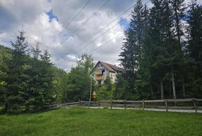 Casa de vacanta + teren intravilan suprafata 2.075mp, Bubesti, Arieseni - 8